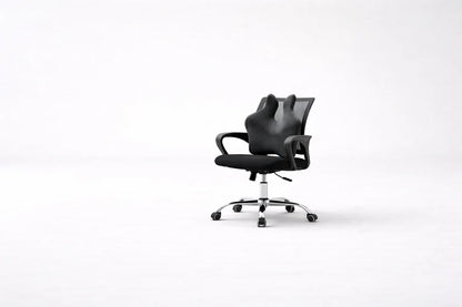Bacol Lumbar Care Pillow